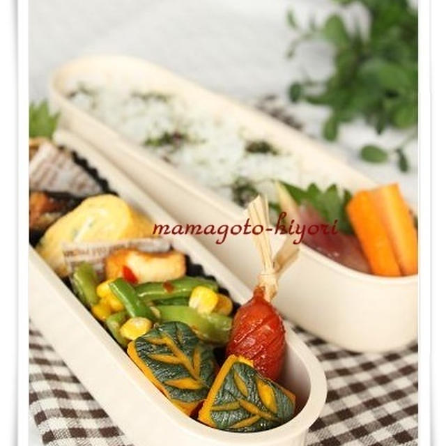 【ﾜﾀｼ弁当　どれがメインかな～？のお弁当^^】