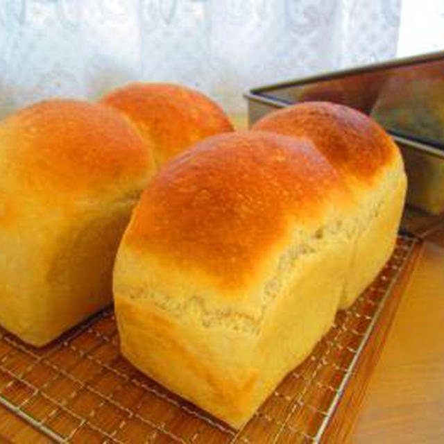 全粒粉ﾊﾟﾝが器のｼﾁｭｰﾁｰｽﾞﾄｰｽﾄ♪全粒粉ｺｯﾍﾟﾊﾟﾝでお弁当♪