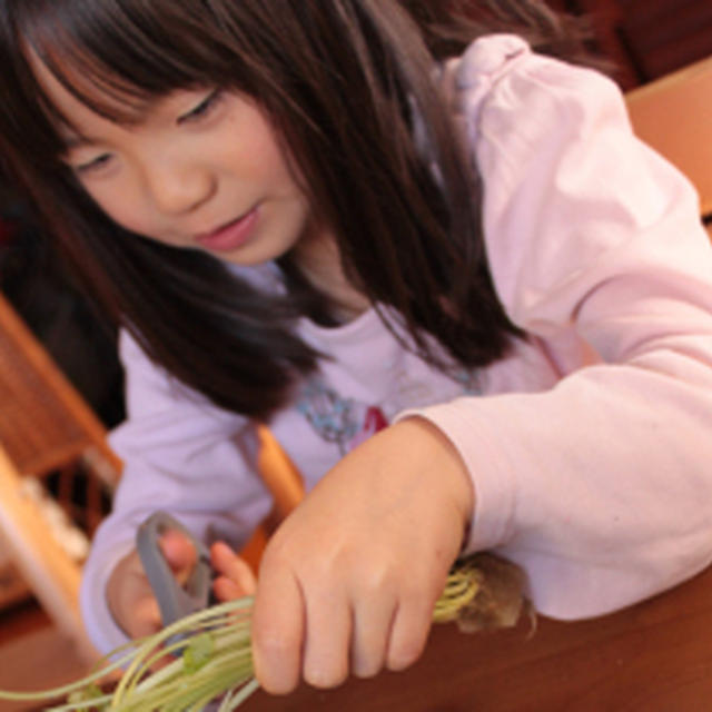 三つ葉と塩昆布のサラダ　《ちぎり野菜レシピ》