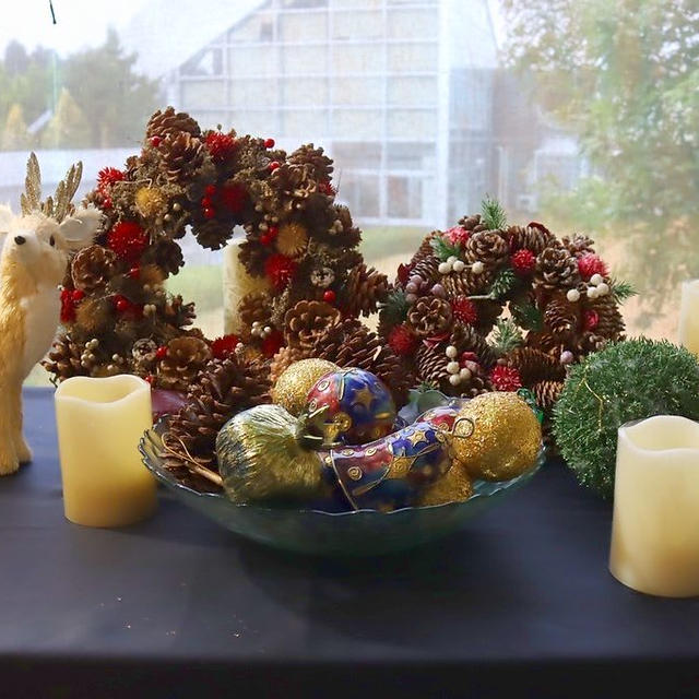 新潟県立植物園クリスマス展③