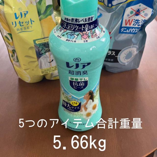 「楽して生きたい…！」を叶えてくれたお買物