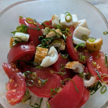 トマトのマリネと豆腐もち