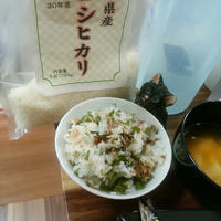 一番早い千葉県産コシヒカリでパパっとサンマの混ぜごはん