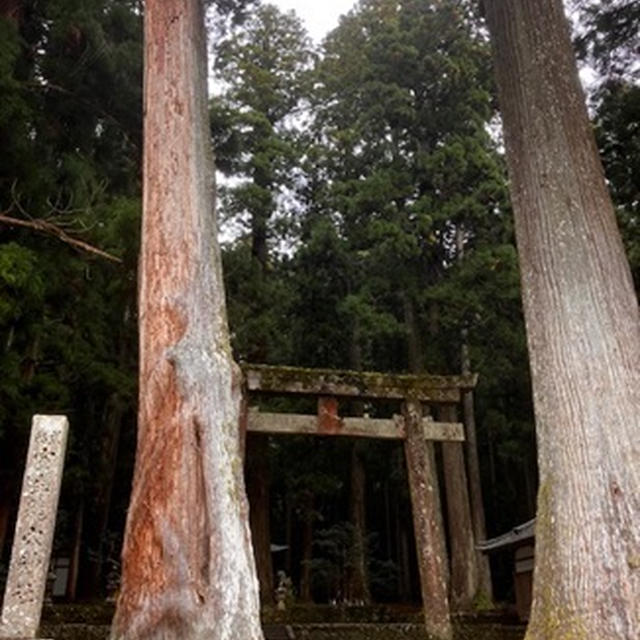 龍穴神社　パワースポット(^_-)-☆