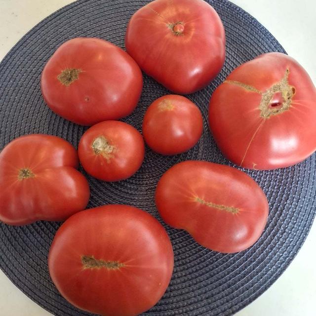 3年ぶりに買いました！三菱マテリアル変更