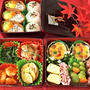 秋のミニ行楽弁当