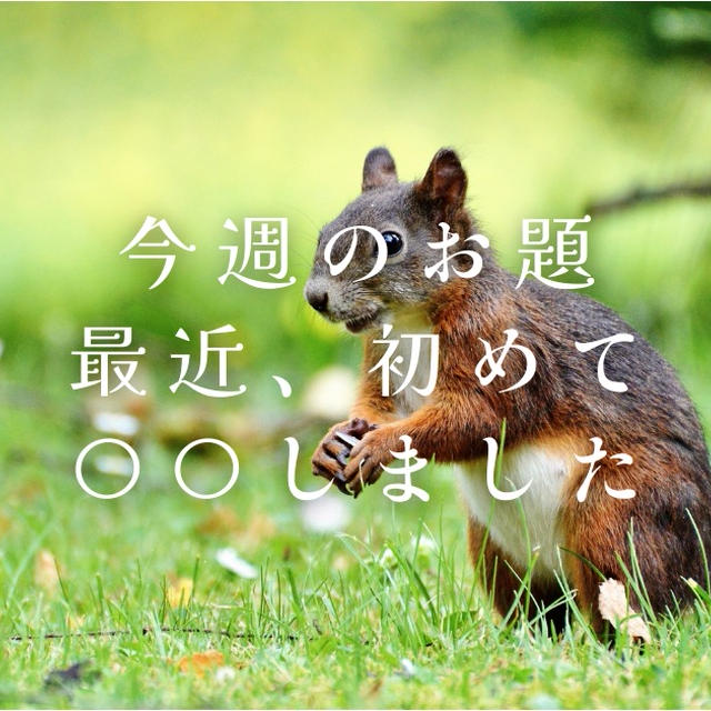 今週のお題『最近、初めて〇〇しました』は年1回くらい行くサファリパークで♡