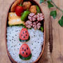 明太子スイカ弁当