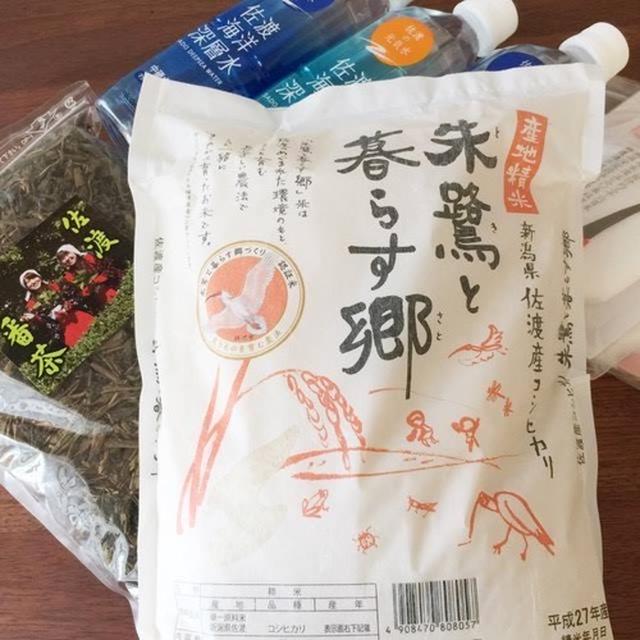 さどごはん研修！