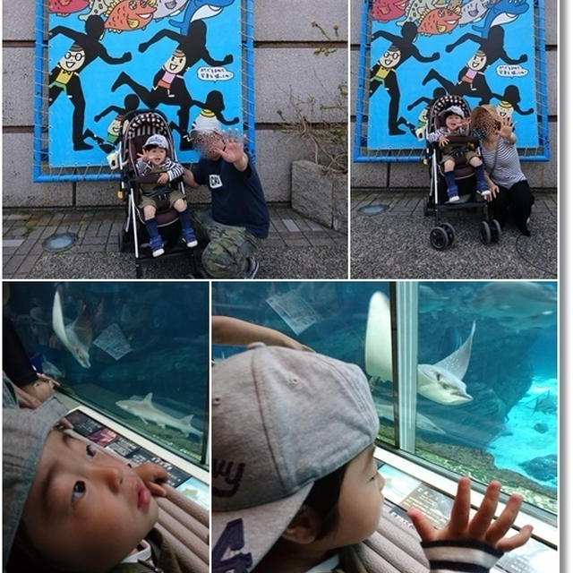 王子、初の水族館♪須磨水族館へ行ってきました★