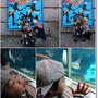 王子、初の水族館♪須磨水族館へ行ってきました★