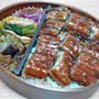 奮発!! 鰻弁当