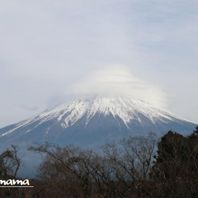 ちゃぶママのお出かけ日記①