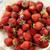 #自然農の畑　#自然農いちご　🍓　で　シロップを仕込む