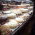 cheese cake factory