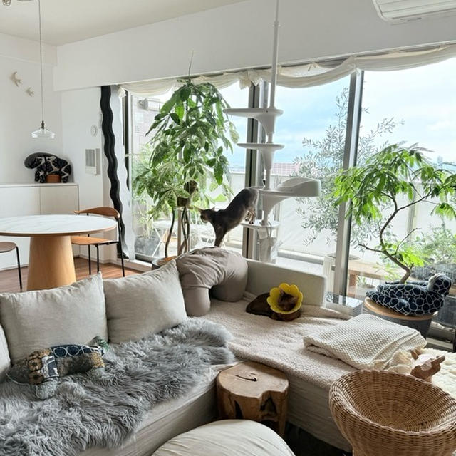 お部屋の冬支度をした