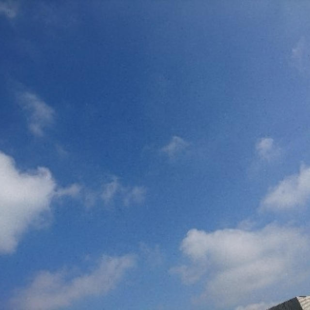 旧「健民祭」の日