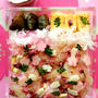 春爛漫♪鯛のさくら寿司でお花見弁当