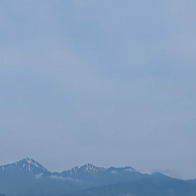 今年は今日1日だけ