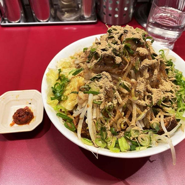 濃厚並を魚粉・辛味・ニンニク少しヤサイアブラネギで啜る 〜豚らーめん ミドリカワ〜