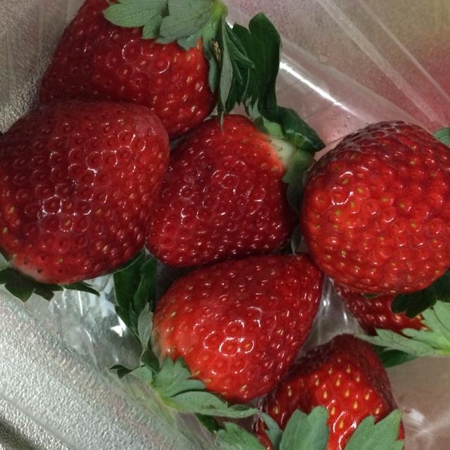 イチゴにみかん〜♫
