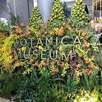 BOTANICA MUSEUM（ボタニカ ミュージアム）へ