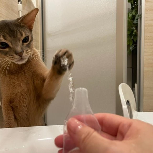 久々に、お風呂でパピコ水鉄砲♪