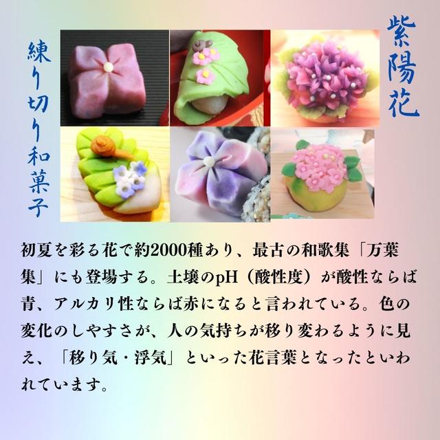 練り切り和菓子　紫陽花