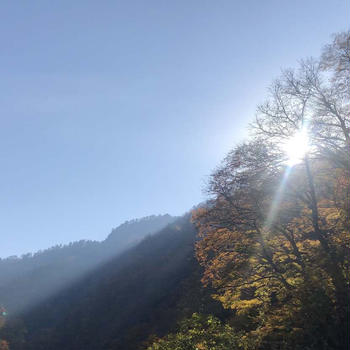 清津峡渓谷の山肌＊完熟した柿のプリン