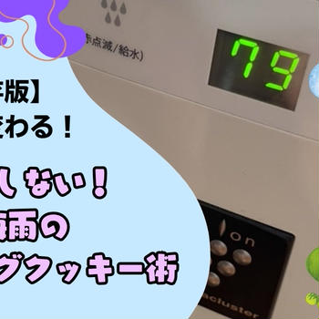 【保存版】除湿で変わる！失敗しない梅雨のアイシングクッキー術