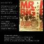 ■MR．BIG 横浜アリーナ 最終日■2009．再結成ツアー