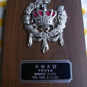 あれがこーなってこーなった。