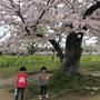 大濠公園の桜♪