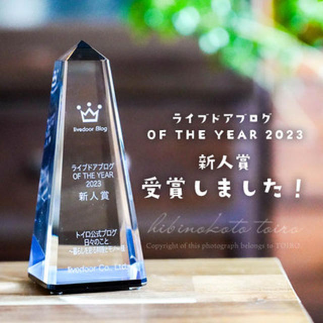 ライブドアブログ OF THE YEAR 2023【新人賞】受賞しました！