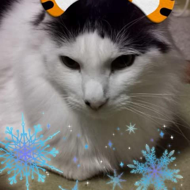 今年もお世話になりました