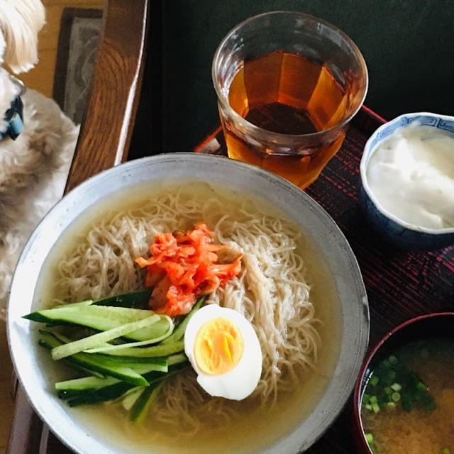 冷麺