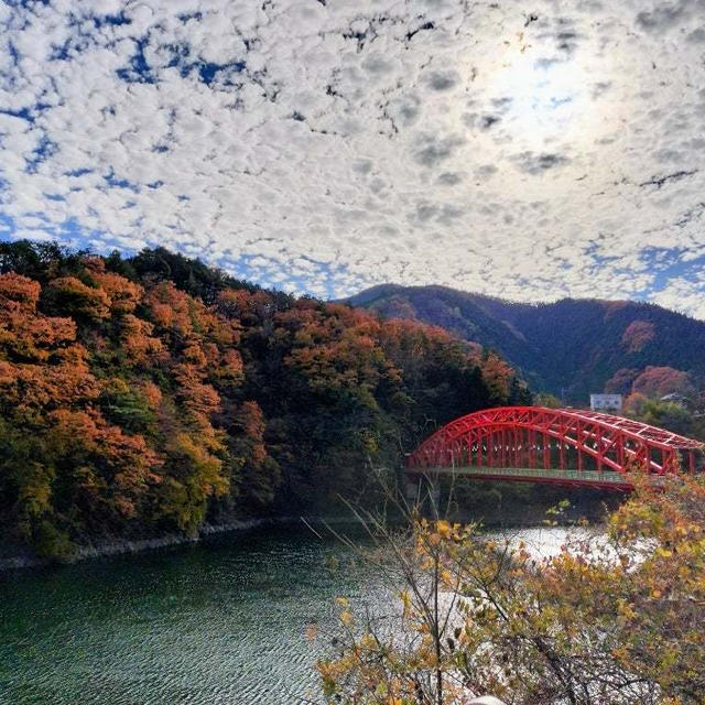 奥多摩湖あたりに紅葉狩り日帰りドライブ　きれいでした！