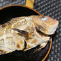 魚だ，魚だ、さかなが来た〜