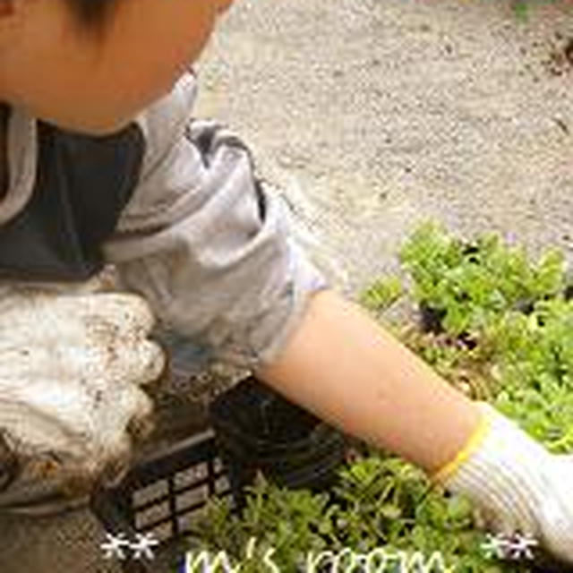 【公園にお花を植えましょぅ】