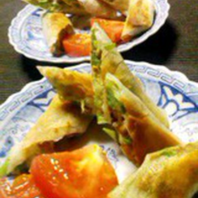 「納豆春巻き」