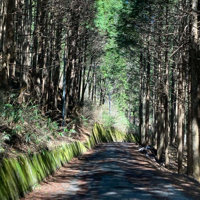 息子のために５５０㌔の旅①♪