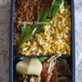 中学息子弁当～豚肉としろなのコチュ炒め、エノキのベーコン巻・・