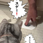 【もうすぐで億万長者だったのに…】悔やまれる我が家の排水口問題