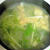 水菜たっぷりシャキシャキお味噌汁