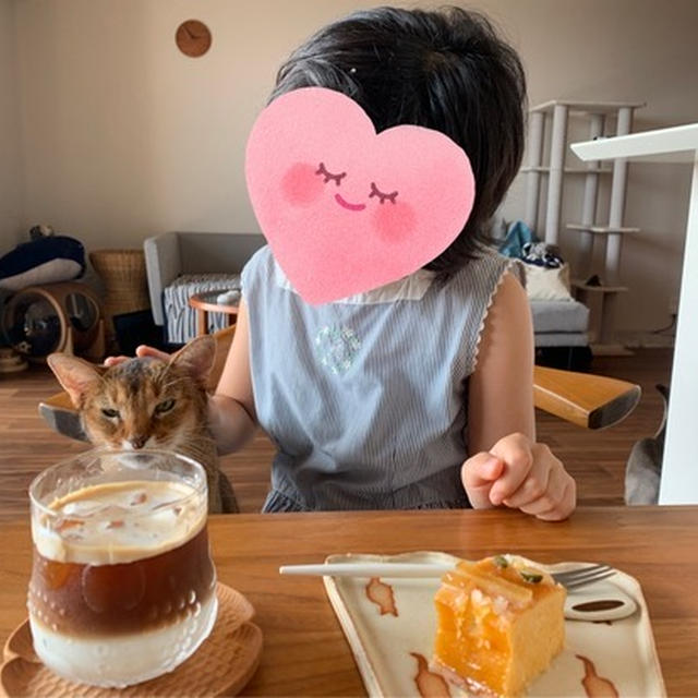 お友達とNちゃんが来てくれた♪ 猫と遊んで手芸をしました