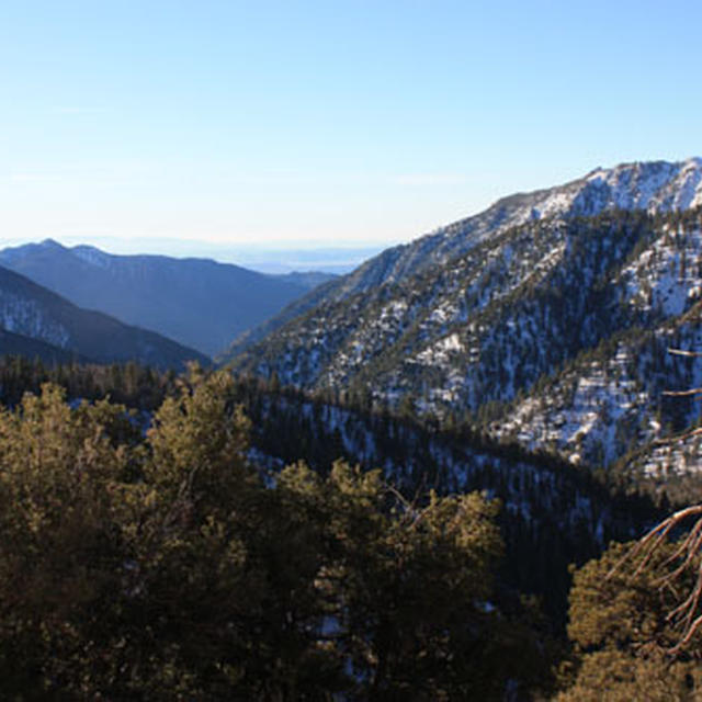 BIG BEAR