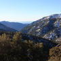 BIG BEAR