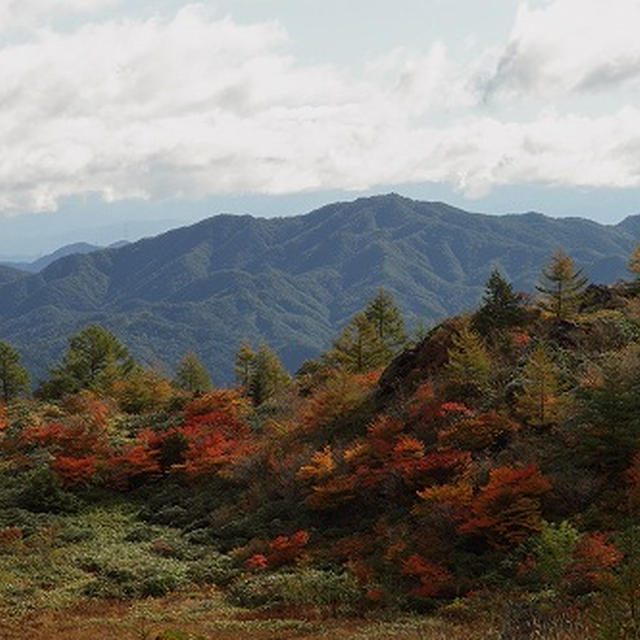 「LOVE LIKE LIFE」写真展のお知らせとおまけ♪