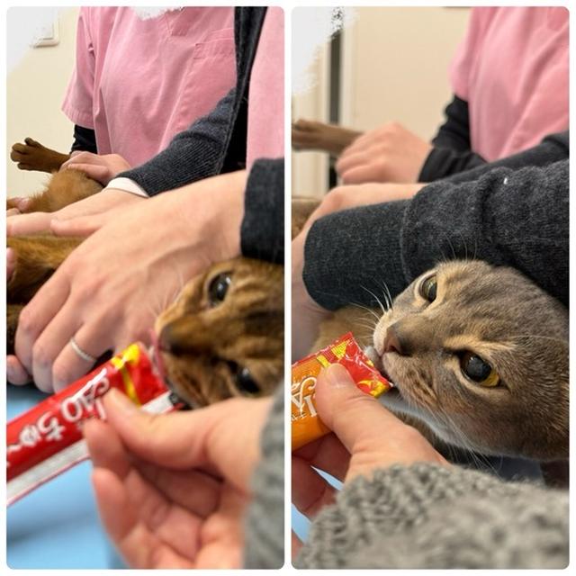 りすわか、健康診断終わりましたー