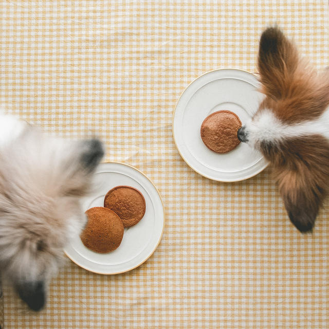 きなこと卵だけで作れる犬用パンケーキ By 犬ごはん先生 いちかわあやこさん レシピブログ 料理ブログのレシピ満載
